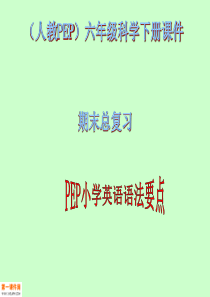 人教PEP版英语六年级下册总复习课件