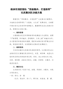比武集训队训练方案.修正doc