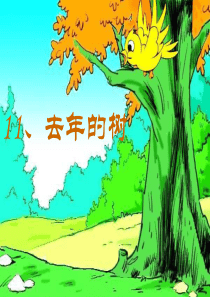 《去年的树》PPT课件