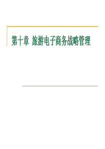 第十章旅游电子商务战略管理