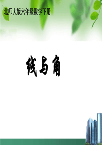 51《总复习--线与角》课件