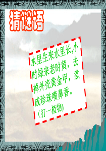 好第2课《星罗棋布的氏族聚落》课件(北师大七上)