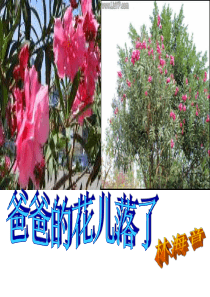 《爸爸的花儿落了》PPT课件3-(共66张PPT)