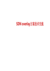 SDN-overlay方案交流