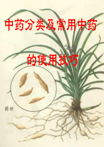 中药分类及常用中药的使用技巧