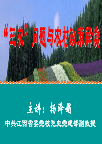 三农问题与农村政策解读