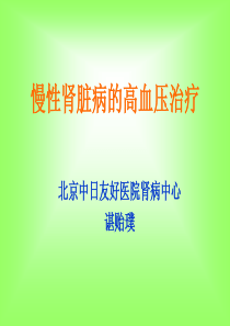 谌贻璞--慢性肾脏病的高血压治疗