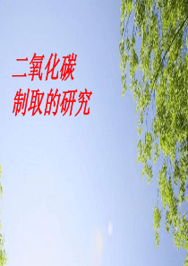 43新建 Microsoft Office PowerPoint 演示文稿
