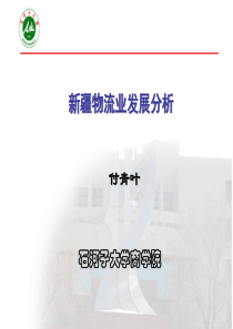 新疆物流业发展分析-fqy