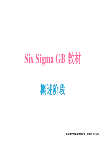Six Sigma GB 教材-概述阶段