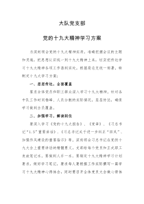 14十九大学习方案