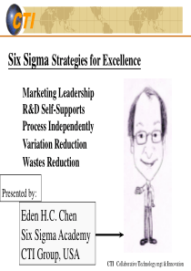 Six Sigma Strategies for Excellence(ppt181)