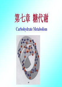 5-第七章  糖代谢4-2006