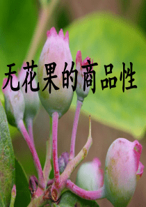 8无花果