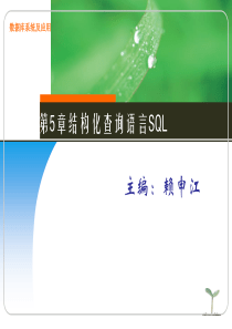 93结构化查询语言SQL