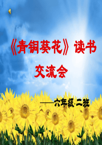 《青铜葵花》读书交流会