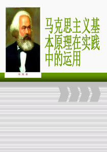 马克思主义基本原理在实践中的运用
