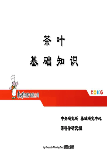 茶叶基础知识