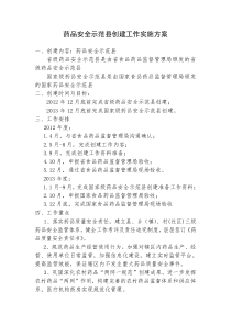 药品安全示范县创建工作实施方案