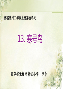 最新部编本二年级上册13寒号鸟
