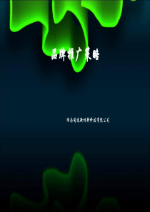 品牌推广方案2015年4月13日