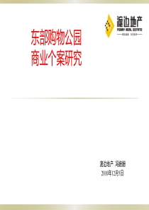东部购物公园个案研究