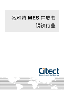 Citect钢铁行业MES