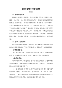如何学好小学语文