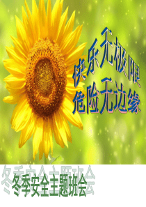 冬季安全教育主题班会