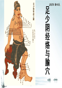 足少阴肾经