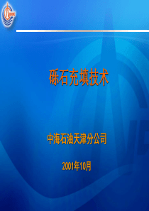 砾石充填技术