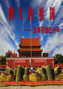 腾飞的祖国―改革开放四十年