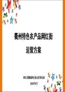 衢州特色农产品网红街运营方案