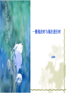 一般现在时与现在进行时