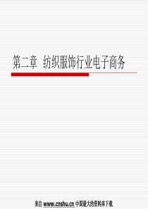 纺织服饰行业电子商务(PPT 30页)