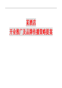 某酒店开业推广及品牌传播策略方案