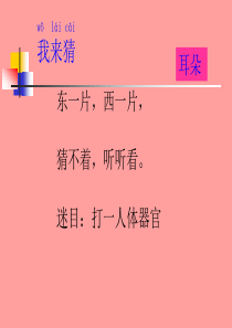 主题班会爱耳日宣传课件[1]_2PPT课件