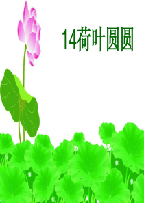 2014荷叶圆圆ppt课件
