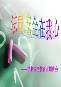 棋盘井实验小学学生法制安全教育PPT