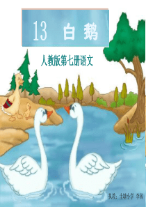 24四年级《白鹅》ppt课件