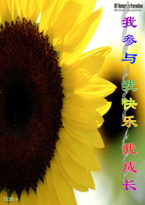 我们家的男子汉：2010年优质课评比课件选(市区预决赛)24