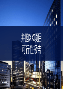 XX并购项目可研报告精讲