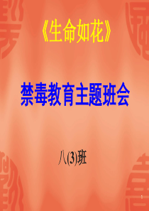 禁毒专题-主题班会课件