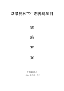 养鸡实施方案[1]1