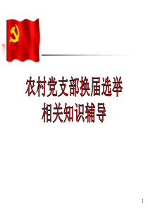 村级党支部换届选举培训课件