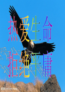 班会Microsoft PowerPoint 演示文稿 (2)
