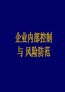 企业内部控制与风险防范