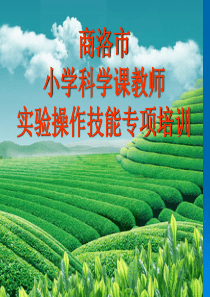 实验常规管理ppt