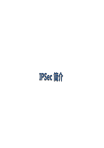 IPSec原理(PPT)