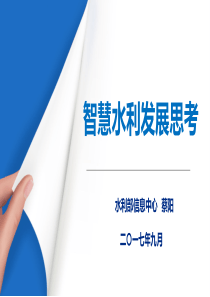智慧水利发展